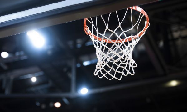 Cost of Basketball Net Installation in Santa Rosa