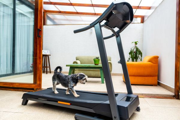 Cost of Treadmill Installation in Santa Rosa