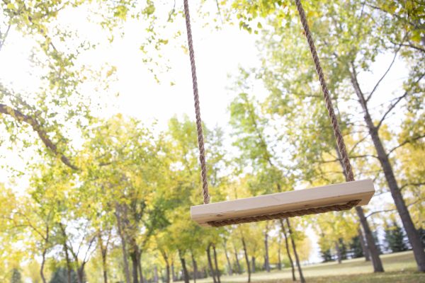 Cost of Tree Swing Installation in Santa Rosa