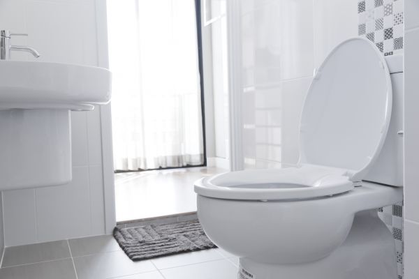 Cost of Toilet Seat Installation in Santa Rosa