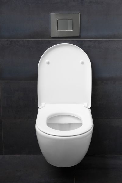 Cost of Toilet Lid Installation in Santa Rosa