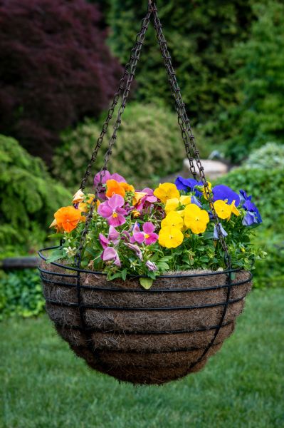 Cost of Hanging Basket Installation in Santa Rosa