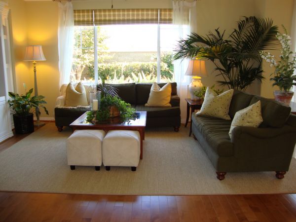 Cost of Valance Rod Installation in Santa Rosa