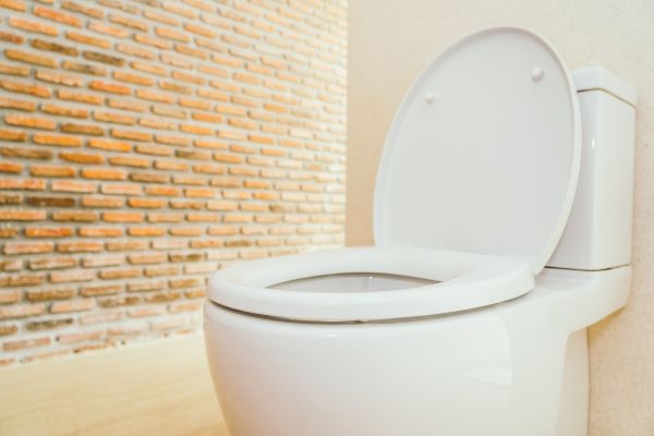 Cost of Toilet Seat Repair in Santa Rosa